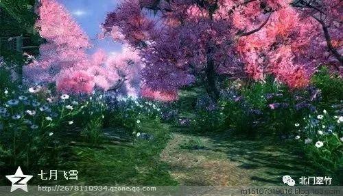 龙虎山道教学院分数线